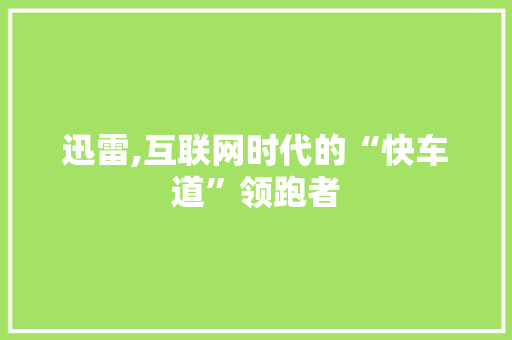 迅雷,互联网时代的“快车道”领跑者