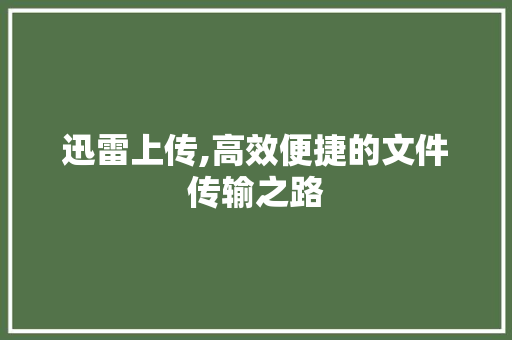 迅雷上传,高效便捷的文件传输之路