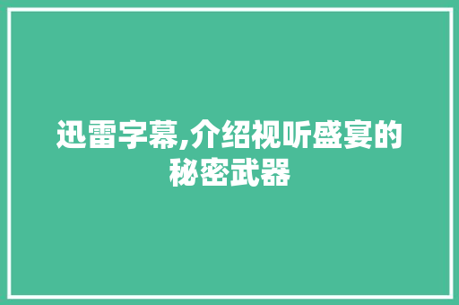 迅雷字幕,介绍视听盛宴的秘密武器