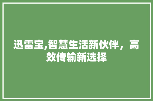 迅雷宝,智慧生活新伙伴，高效传输新选择