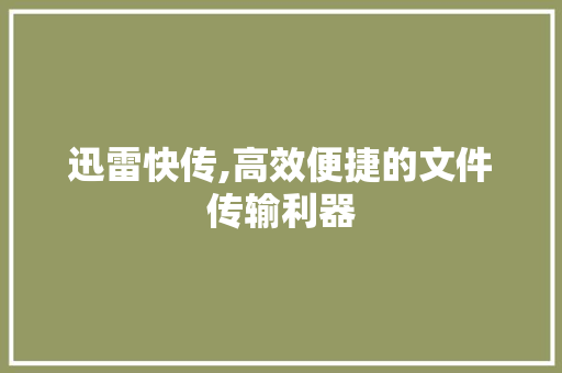 迅雷快传,高效便捷的文件传输利器
