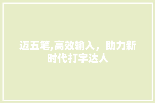 迈五笔,高效输入，助力新时代打字达人