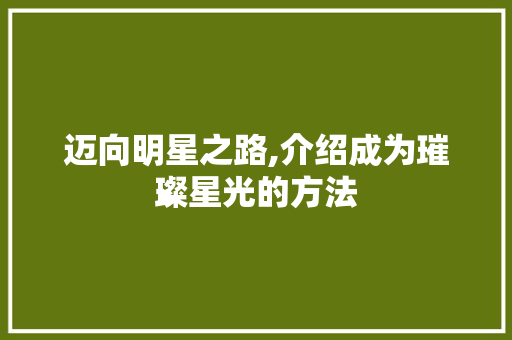 迈向明星之路,介绍成为璀璨星光的方法