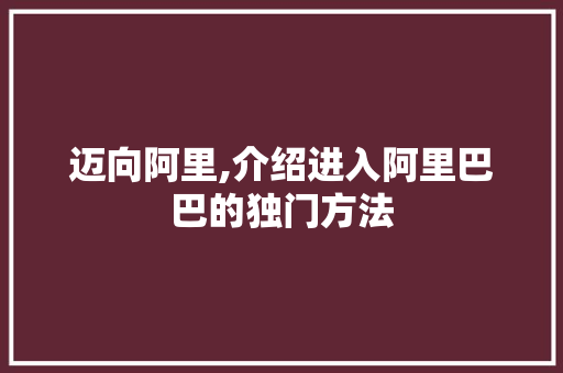 迈向阿里,介绍进入阿里巴巴的独门方法