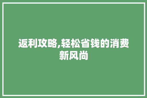 返利攻略,轻松省钱的消费新风尚
