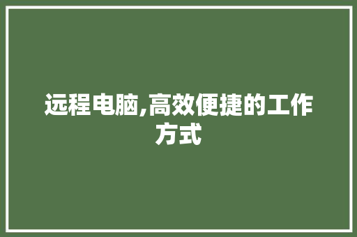 远程电脑,高效便捷的工作方式 操作系统