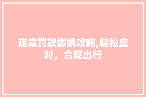 违章罚款缴纳攻略,轻松应对，合规出行