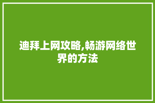 迪拜上网攻略,畅游网络世界的方法 编程语言