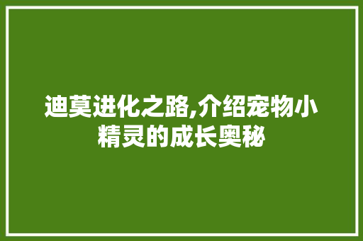 迪莫进化之路,介绍宠物小精灵的成长奥秘 编程语言