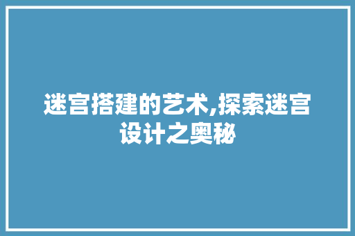 迷宫搭建的艺术,探索迷宫设计之奥秘
