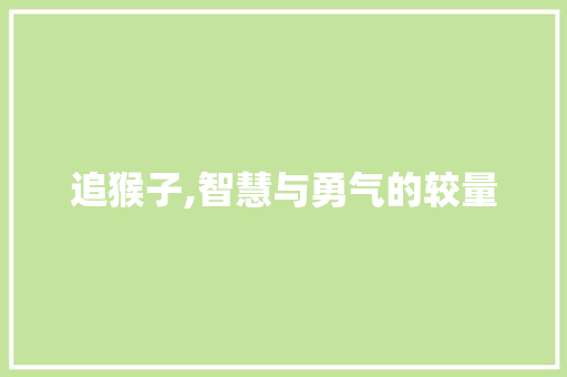 追猴子,智慧与勇气的较量 编程语言 追猴子,智慧与勇气的较量 编程语言