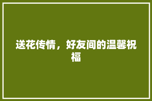 送花传情,好友间的温馨祝福 送花传情,好友间的温馨祝福