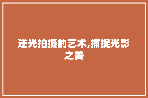 逆光拍摄的艺术,捕捉光影之美 逆光拍摄的艺术,捕捉光影之美