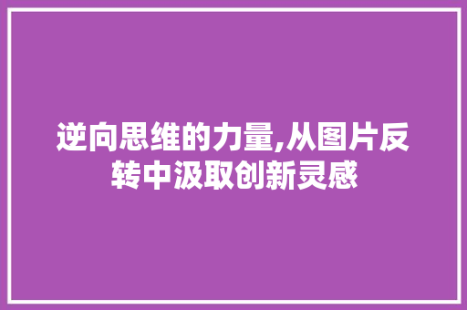 逆向思维的力量,从图片反转中汲取创新灵感 操作系统