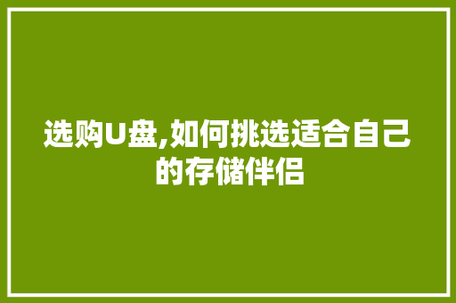 选购U盘,如何挑选适合自己的存储伴侣 编程语言