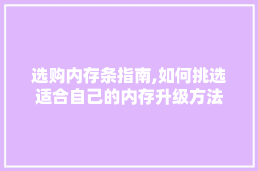 选购内存条指南,如何挑选适合自己的内存升级方法
