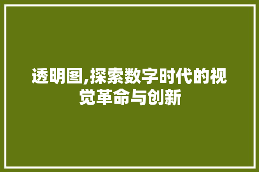 透明图,探索数字时代的视觉革命与创新 电脑基础 透明图,探索数字时代的视觉革命与创新 电脑基础