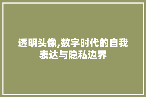 透明头像,数字时代的自我表达与隐私边界 操作系统