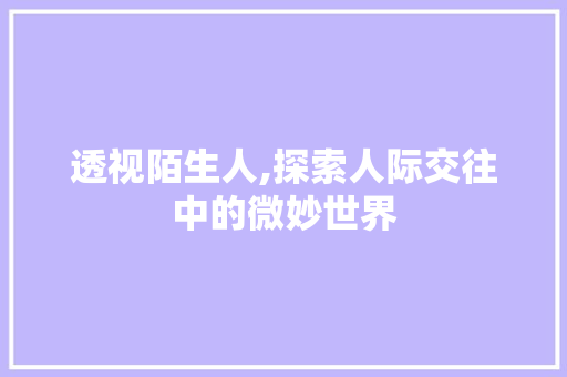 透视陌生人,探索人际交往中的微妙世界 电脑基础