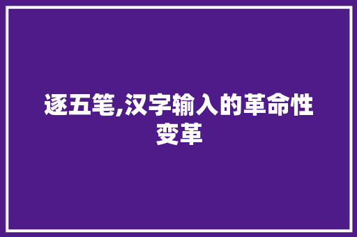 逐五笔,汉字输入的革命性变革 操作系统