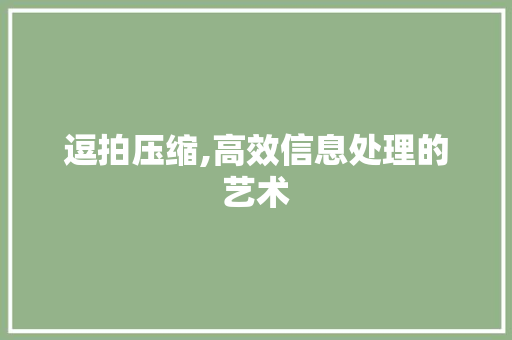逗拍压缩,高效信息处理的艺术