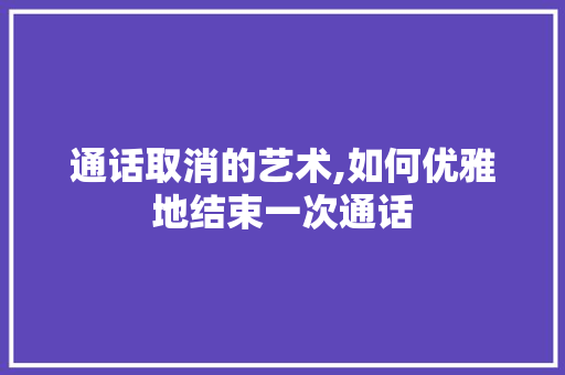 通话取消的艺术,如何优雅地结束一次通话