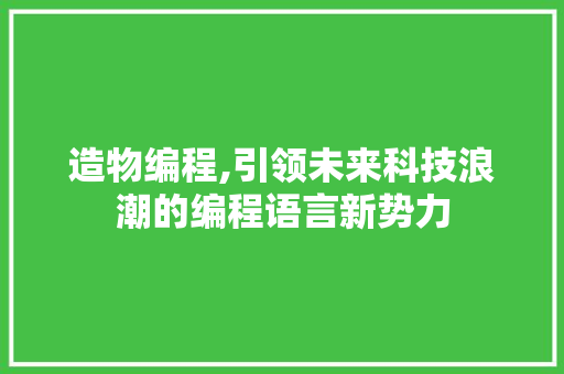 造物编程,引领未来科技浪潮的编程语言新势力 电脑配置