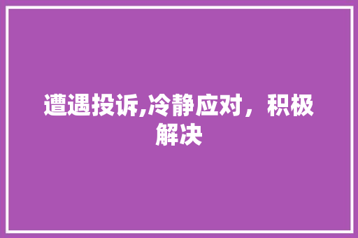 遭遇投诉,冷静应对，积极解决 编程语言