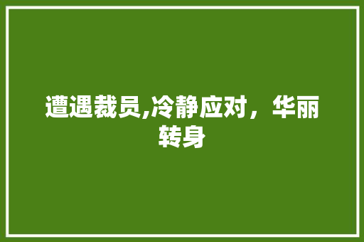遭遇裁员,冷静应对，华丽转身 网络技术