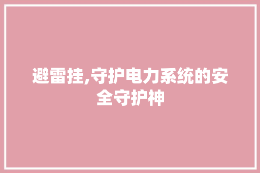 避雷挂,守护电力系统的安全守护神 操作系统