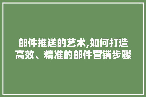 邮件推送的艺术,如何打造高效、精准的邮件营销步骤