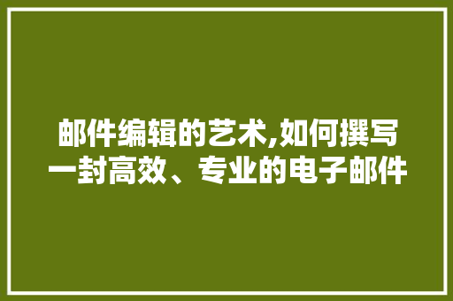邮件编辑的艺术,如何撰写一封高效、专业的电子邮件