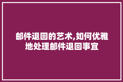 邮件退回的艺术,如何优雅地处理邮件退回事宜