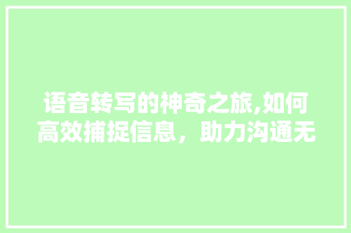 语音转写的神奇之旅,如何高效捕捉信息，助力沟通无障碍