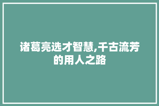 诸葛亮选才智慧,千古流芳的用人之路 电脑故障维修