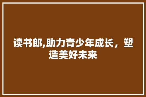 读书郎,助力青少年成长，塑造美好未来 电脑基础