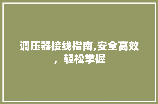 调压器接线指南,安全高效，轻松掌握