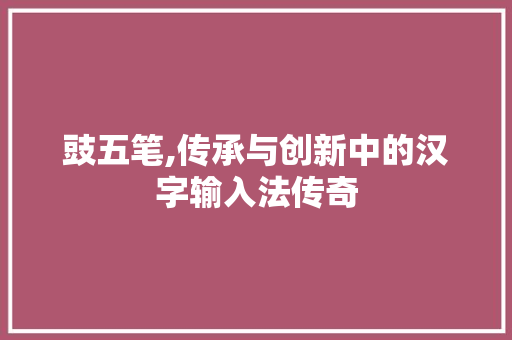 豉五笔,传承与创新中的汉字输入法传奇