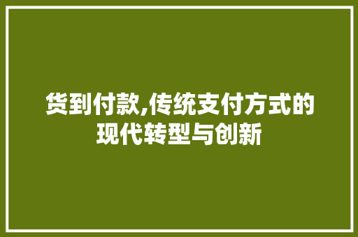 货到付款,传统支付方式的现代转型与创新 电脑故障维修