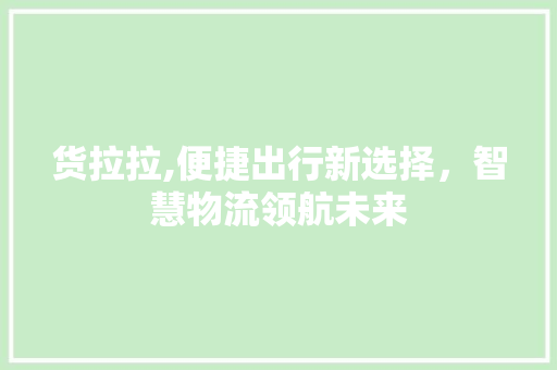 货拉拉,便捷出行新选择,智慧物流领航未来 操作系统 货拉拉,便捷出行新选择,智慧物流领航未来 操作系统