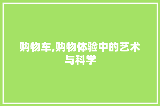 购物车,购物体验中的艺术与科学