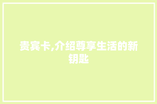 贵宾卡,介绍尊享生活的新钥匙