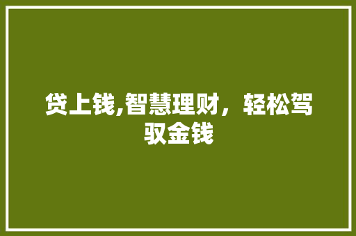 贷上钱,智慧理财，轻松驾驭金钱 电脑基础