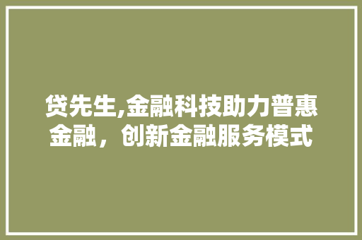 贷先生,金融科技助力普惠金融,创新金融服务模式 贷先生,金融科技助力普惠金融,创新金融服务模式
