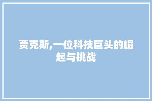 贾克斯,一位科技巨头的崛起与挑战 贾克斯,一位科技巨头的崛起与挑战