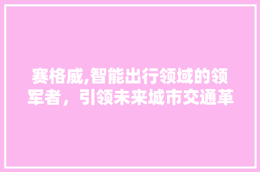 赛格威,智能出行领域的领军者，引领未来城市交通革命