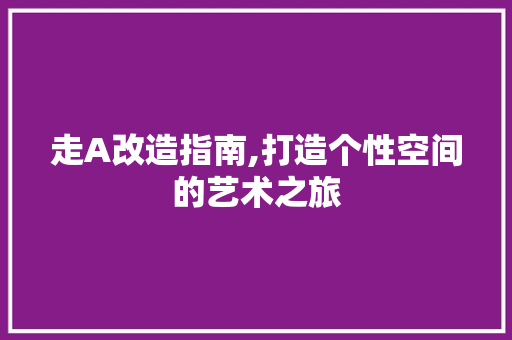 走A改造指南,打造个性空间的艺术之旅