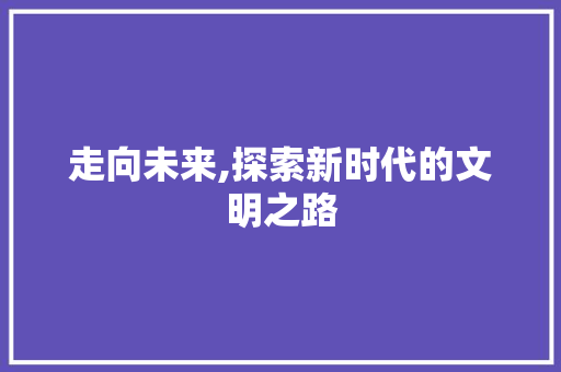 走向未来,探索新时代的文明之路