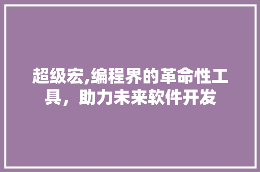 超级宏,编程界的革命性工具，助力未来软件开发