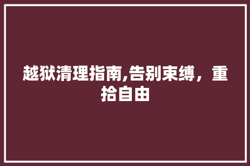 越狱清理指南,告别束缚，重拾自由 网络技术